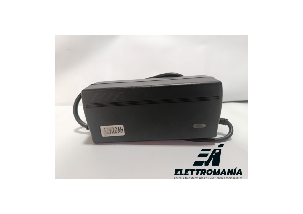 Cargador Plomo 60v 3ah